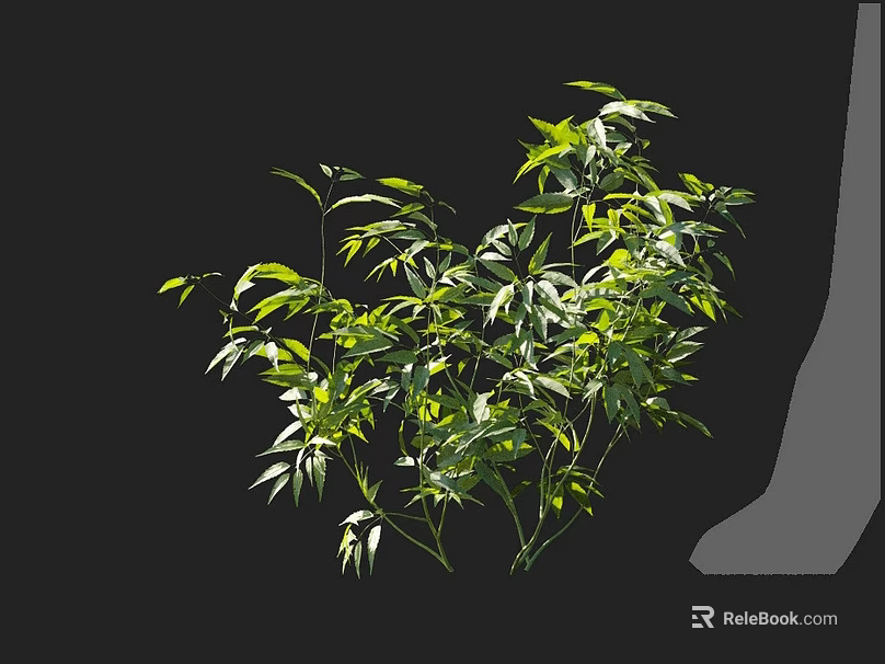Lush Green Plant With Fresh Leaves And Vibrant Foliage Displaying Natural Beauty 3d model 