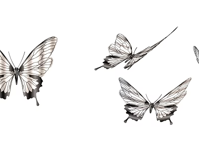 Black and White Butterflies Flying Gracefully with Delicate Wings Showing Intricate Patterns in Mid Air 3d model