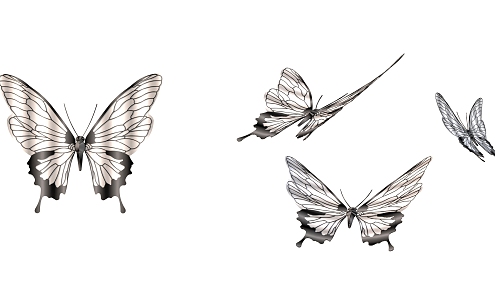 Modern Butterfly 3d model