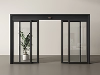 Modern Interior Sliding Door With Black Frame And Glass Panels Near Green Plant 3d model
