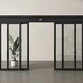 Modern Interior Sliding Door With Black Frame And Glass Panels Near Green Plant
