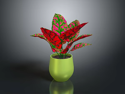 Vibrant Red And Green Leaf Plant In Green Pot With Glossy Surface 3d model