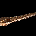Close Up View Of Long Brown And White Patterned Snake On Black Background 3d model