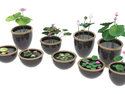 Aquarium Fish Tank With Lotus Plants Water Lilies And Lily Pads In Decorative Ceramic Containers 3d model