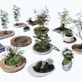 Various Tree Planters Designs With Different Shapes Materials And Green Plants 3d model