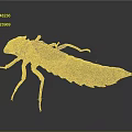 Brownish Gray Insect Larva With Rough Exoskeleton Segmented Body And Multiple Legs On Dark Background 3d model