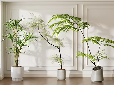 Indoor Potted Plants With Various Greenery In Stylish White And Gray Pots Against Decorative Wall 3d model