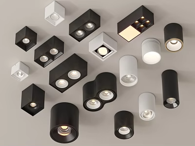 Modern Downlights And Spotlights In Various Black And White Designs For Indoor Lighting 3d model