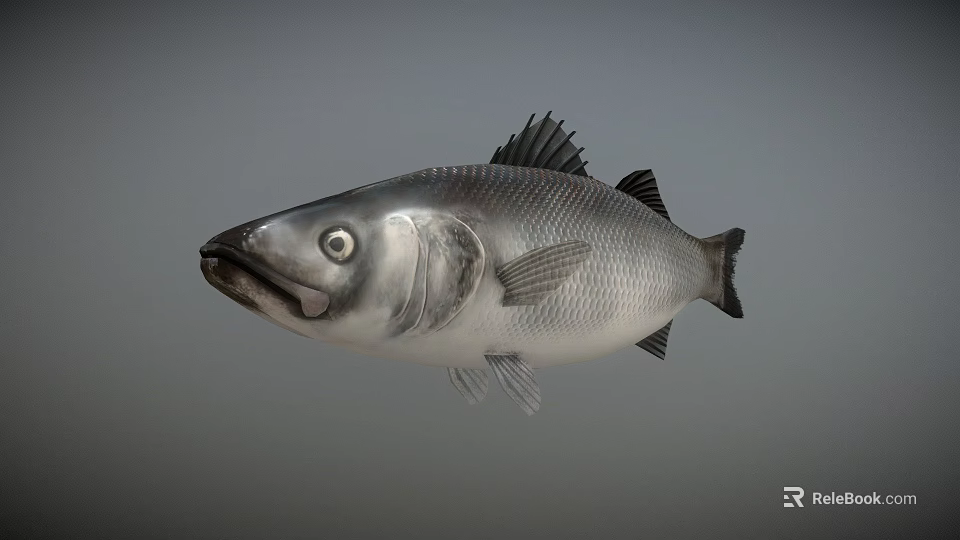 Game Movie Character Silver Fish With Realistic Design And Large Eyes 3d model 