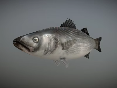 Game Movie Character Silver Fish With Realistic Design And Large Eyes 3d model