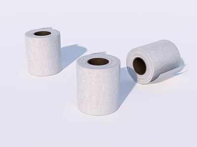 Modern roll paper 3d model