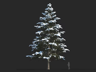 Large Snow Covered Pine Tree With Small Human Figure For Scale 3d model