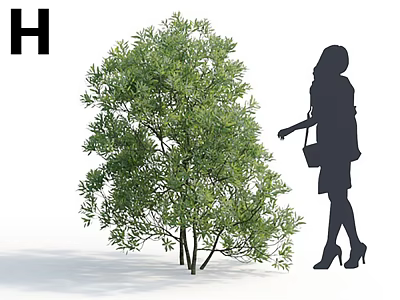 Lush Green Shrub With Dense Foliage And Woman Silhouette Standing Nearby 3d model