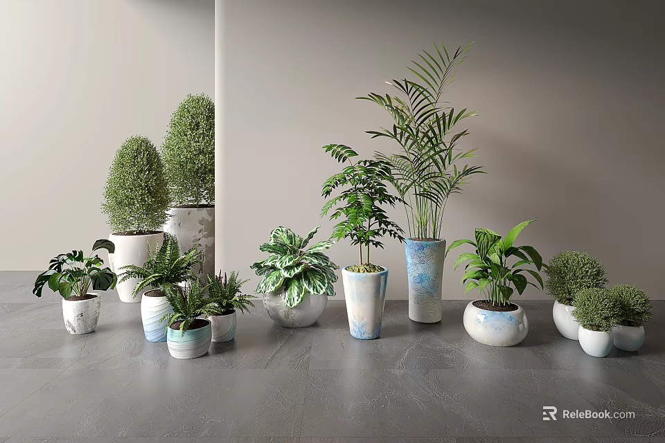 Various Types Of Bonsai Potted Plants With Ceramic Pots Indoor 3d model 
