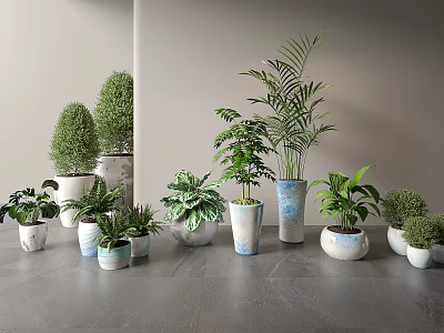 Various Types Of Bonsai Potted Plants With Ceramic Pots Indoor 3d model