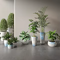 Various Types Of Bonsai Potted Plants With Ceramic Pots Indoor