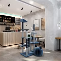 Modern Café Interior With Wooden Counter Green Chair Shelves And Cat