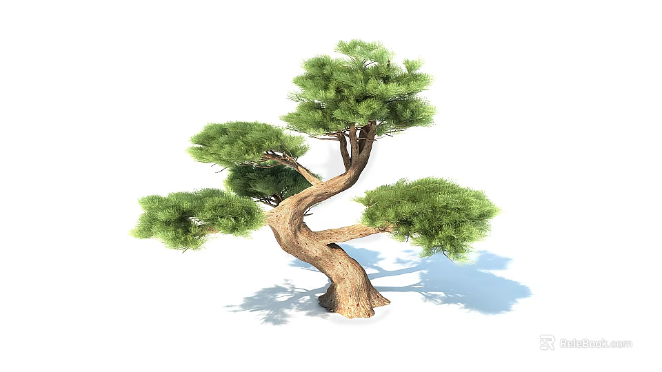 Bonsai Pine Tree with Curved Trunk and Lush Green Branches in Natural Shape 3d model 