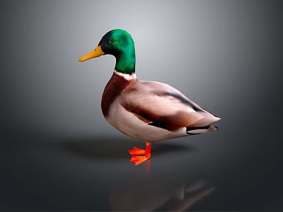 Colorful Duck With Green Head Yellow Beak And Orange Feet On Gray Background 3d model