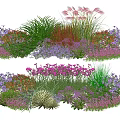 Colorful Mixed Plant Combination For Garden With Various Flowers And Grasses
