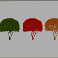Rounded Multi Stemmed Garden Tree with Orange Leaves Green Red Foliage Decorative Plant