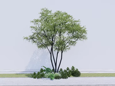 Natural Tall Tree With Green Foliage Multiple Trunks And Surrounding Small Plants 3d model