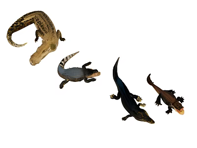 Aquatic Animals Various Crocodile Species with Different Sizes and Postures 3d model