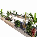 Indoor Landscape Design With Various Green Plants Decorative Sculptures And Lighting