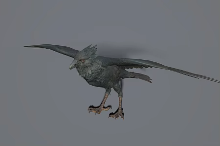 Modern Crow 3d model