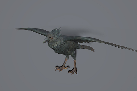 Modern Crow 3d model