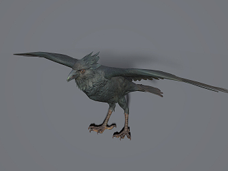 Modern Crow 3d model