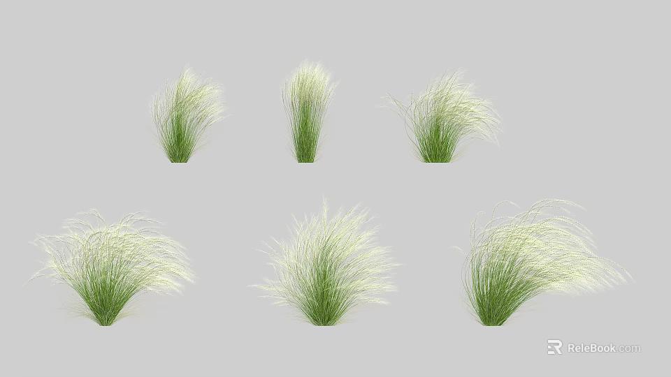 Multiple Clumps Of Green Grass With Slender Leaves And Fluffy Appearance Isolated On Gray Background 3d model 