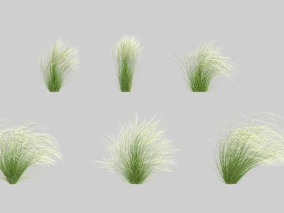 Multiple Clumps Of Green Grass With Slender Leaves And Fluffy Appearance Isolated On Gray Background 3d model