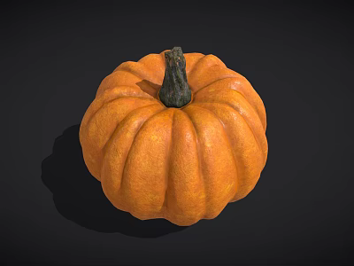 Fresh Ripe Orange Pumpkin Vegetable With Textured Surface And Green Stem 3d model
