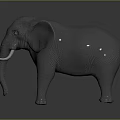 Gray Elephant 3D Model with Tusks Standing on Smooth Surface and Dark Background 3d model