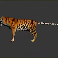Realistic Striped Tiger Figure With Orange Fur Black Stripes And White Paws