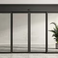Modern Sliding Glass Doors With Black Frame In Interior And Potted Plant