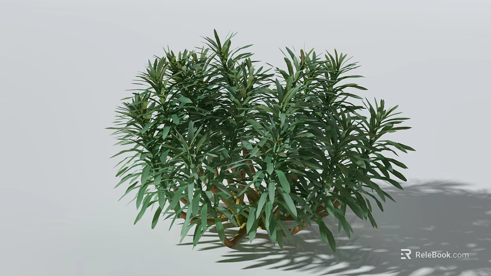 Healthy Lush Green Bush With Dense Vibrant Foliage For Garden Landscaping 3d model 