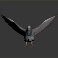 Blue Flying Pigeon With Spread Wings And Pink Feet On Shiny Dark Background