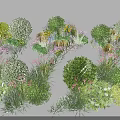 Lush Garden Flowers And Green Plants With Various Shrubs And Colorful Blooms