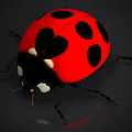 Red Reptile With Black Spots On Shiny Skin Against Dark Background