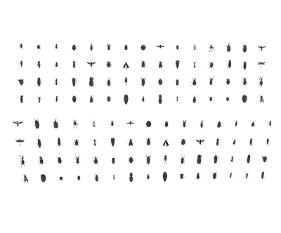 Collection of Simple Reptile Drawings Featuring Lizards Snakes Turtles and Other Species 3d model