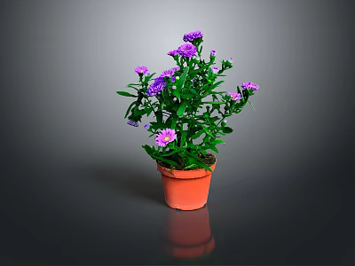 Potted Plant With Purple Flowers And Green Leaves In Brown Pot 3d model