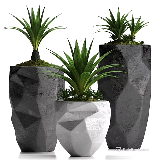 Bonsai Potted Plants in Geometric Gray and White Pots with Green Foliage and Moss Top 3d model 