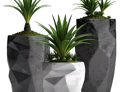 Bonsai Potted Plants in Geometric Gray and White Pots with Green Foliage and Moss Top 3d model