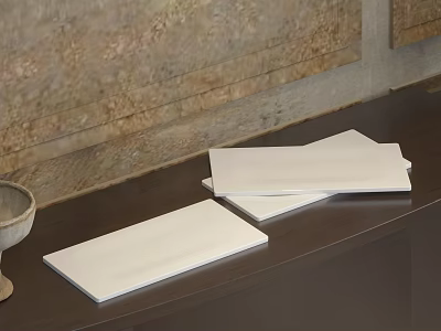 White Rectangular Tiles Placed On Dark Countertop With Stone Wall Backdrop 3d model