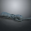 Gray Ant 3D Model with Clear Body Structure Including Head Thorax Abdomen and Legs