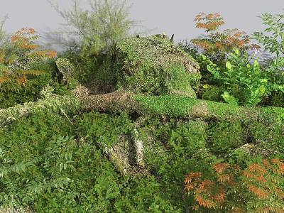 Lush Garden Flowers and Plants Featuring Moss Covered Tree Trunk Green Foliage and Orange Leaves 3d model