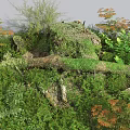 Lush Garden Flowers and Plants Featuring Moss Covered Tree Trunk Green Foliage and Orange Leaves