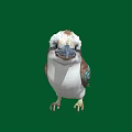 Colorful Bird with White Head Brown Body Blue Green Spotted Wings Standing on Green Background
